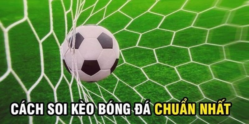 Kinh nghiệm hay nên áp dụng khi cược kèo chấp 1/2